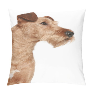 Personality  Irish Terrier Pillow Covers