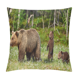 Personality  Female Brown Bear And Her Cubs Pillow Covers
