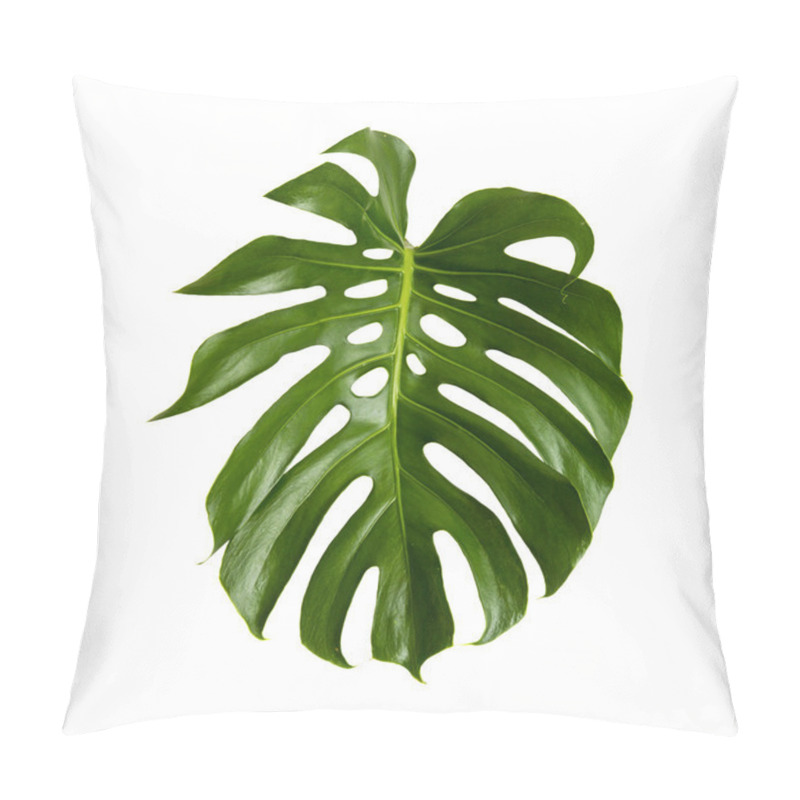 Personality  Large Green Shiny Leaf Of Monstera Pillow Covers