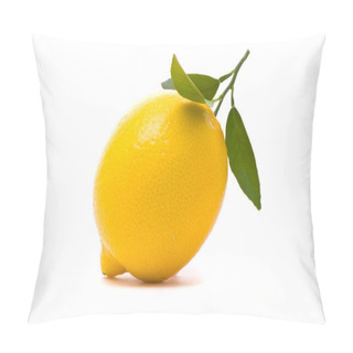 Personality  Lemon With Fresh Leaves. Macro Shot Pillow Covers