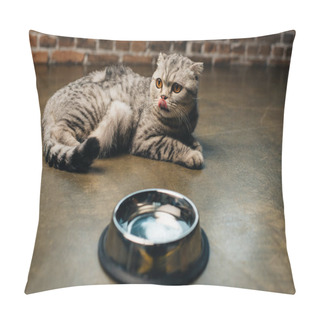 Personality  Adorable Tabby Scottish Fold Cat Licking Nose Near Bowl On Floor Pillow Covers