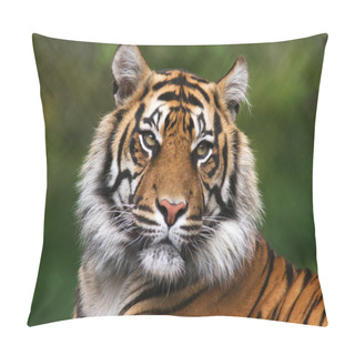 Personality  Detailed Portrait Of A Benegal Tiger Pillow Covers