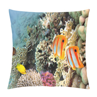 Personality  Copperband Butterflyfish (Chelmon Rostratus) Pillow Covers