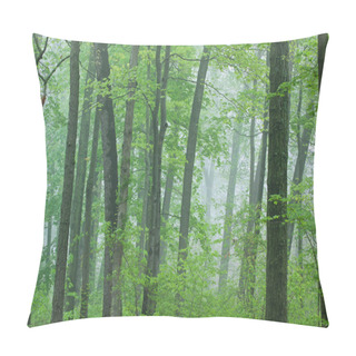 Personality  Spring Forest In Fog Pillow Covers