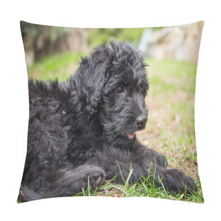 Personality  Labradoodle Puppy Pillow Covers