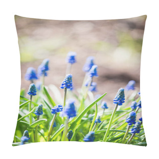 Personality  Muscari Flowers In Spring Garden Pillow Covers
