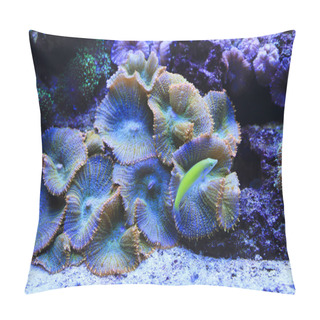 Personality  Beautiful Colorful Underwater Marine Life Pillow Covers