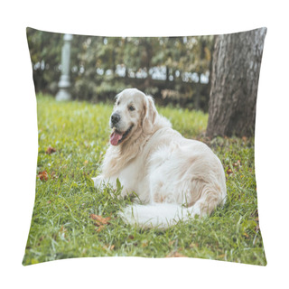 Personality  Cute Playful Golden Retriever Dog Lying On Green Grass In Park Pillow Covers