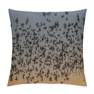 Personality  The Murmurations Of Starlings A Flock Of Birds In Flight  Pillow Covers