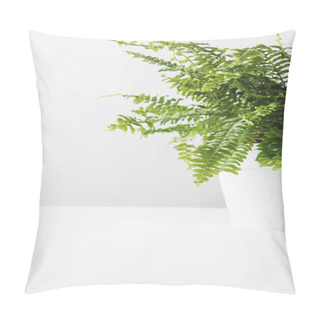 Personality  Close-up View Of Beautiful Green Potted Fern On White  Pillow Covers