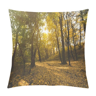 Personality  Beautiful Autumn Forest Pillow Covers