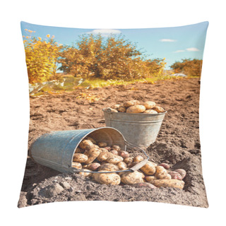 Personality  First Harvest Of Organically Grown New Potatoes Pillow Covers