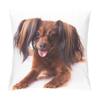 Personality  Russian Toy Dog Pillow Covers