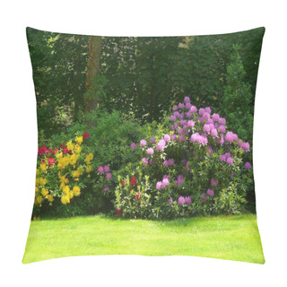 Personality  Blossoming Baroque Ludwigsburg, Rhododendron In Bloom In The Garden Pillow Covers