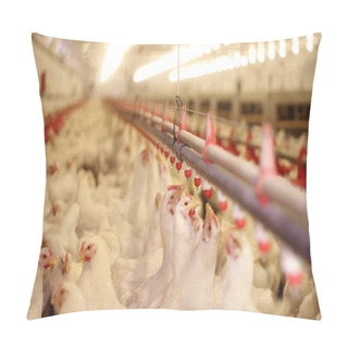 Personality  Chicken Farm, Poultry Production Pillow Covers