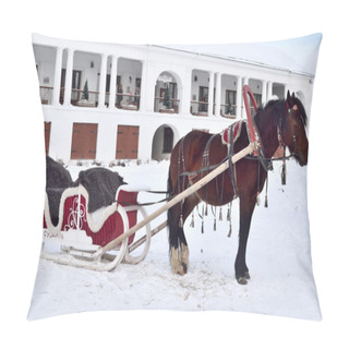 Personality  Horse-drawn Sleigh In Pillow Covers
