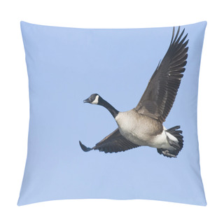 Personality  Canada Goose Pillow Covers