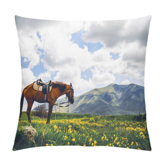 Personality  Lonely Horse On Beautiful Flowery Hill, Armenia Pillow Covers