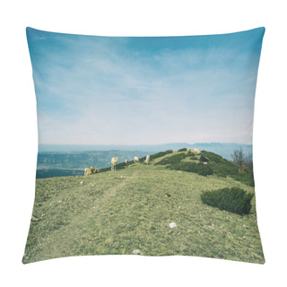 Personality  A Herd Of Cows Grazing On A Green Meadow In The Heights Pillow Covers