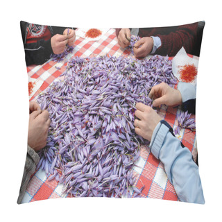 Personality  Italian Saffron Called Zafferano Di Navelli In The Province Of L'Aquila In The Abruzzo Region Of Central Italy On The Table For Processing And Selection Pillow Covers