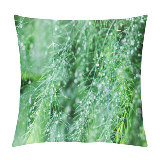 Personality  Flower, Bloom, Green, Wormwood, Texture, Tone, Splash, Drawing, Flower, Bloom, Green, Wormwood, Texture, Tone, Splash, Drawing, Chamomile, Bee, Flora, Fauna Pillow Covers