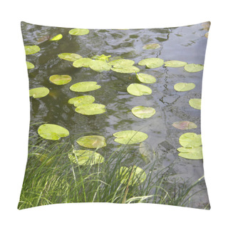 Personality  Green Leaves Of Water Lilies In Water Pillow Covers