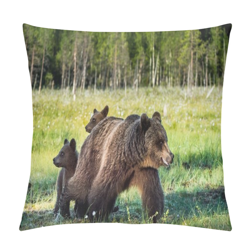 Personality  Bear cubs hide for a she-bear pillow covers