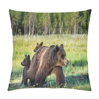 Personality  Bear Cubs Hide For A She-bear Pillow Covers
