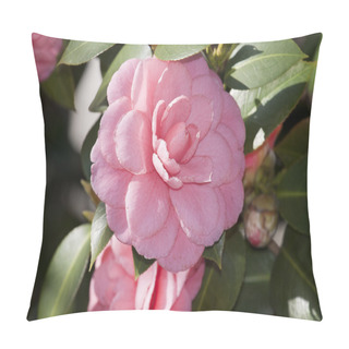 Personality  Camelia Flower Pillow Covers