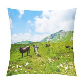 Personality  Cows Grazing On Green Valley Near Mountains In Durmitor Massif, Montenegro Pillow Covers