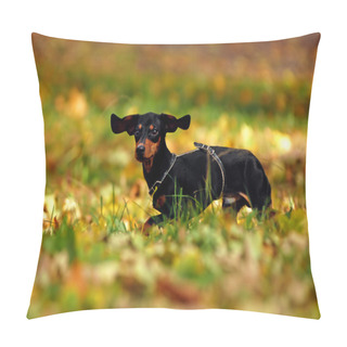 Personality  Happy Dachshund Dog In Park Pillow Covers