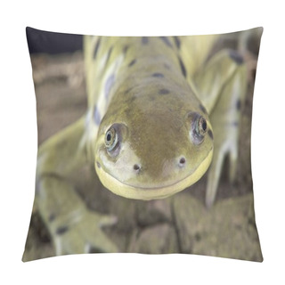 Personality  Tiger Salamander (Ambystoma Mavortium) Pillow Covers