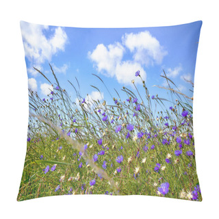 Personality  Wildflowers In Rural Environment In The Summer Pillow Covers