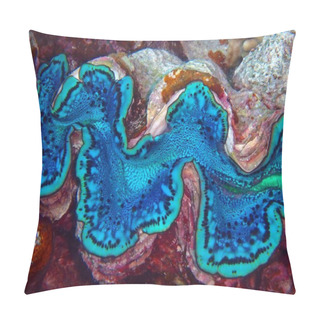 Personality  Giant Clam, Tridacna, Fury Shoal, Red Sea, Egypt  Pillow Covers