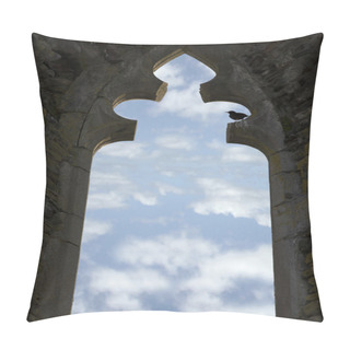 Personality  Old Arch Window With Starling Pillow Covers