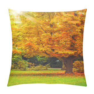 Personality  Landscape With Yellow Leaves On Tree And Green Grass Lawn Pillow Covers