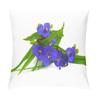 Personality  Tradescantia Blue Flowers Pillow Covers