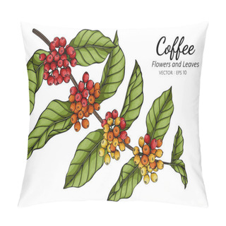 Personality  Coffee Flower And Leaf Drawing Illustration With Line Art On White Backgrounds. Pillow Covers