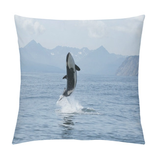 Personality  Killer Whale High Jump Pillow Covers