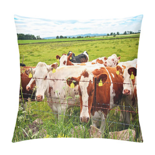 Personality  A Herd Of Cows In The Fields, Close Up Pillow Covers