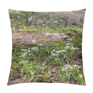 Personality  White Wildflower Allium Neapolitanum, Neapolitan Garlic, Naples Garlic, Wood Garlic On Growing Wild In A Wooded Area In Israel. Pillow Covers