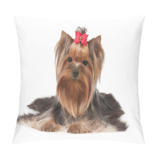 Personality  One Yorkshire Terrier Pillow Covers