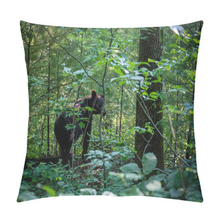 Personality  Wet Bear Looks Bad In Thick Woods On A Hiking Trail Out Of Cades Cove Pillow Covers