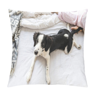 Personality  Overhead View Of Adorable Black And White Puppy Lying On Bed Pillow Covers