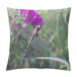Personality  Dragonfly On A Flower Pillow Covers