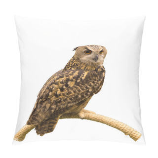 Personality  Eurasian Eagle Owl Perched On A Branch Isolated On White Backgro Pillow Covers