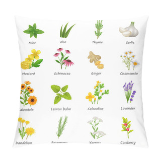 Personality  Medicinal  Herbs Plants Flat Icons Set Pillow Covers