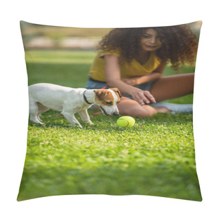 Personality  Selective Focus Of Young Woman Looking At Dog Near Tennis Ball Pillow Covers