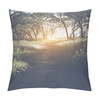 Personality  Sunlight In The Forest As Background Pillow Covers