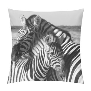Personality  Beautiful Stripped Zebra And Calf In African Bush. Etosha Game Reserve, Namibia, Africa Safari Wildlife. Wild Animal In The Nature Habitat. This Is Africa. Pillow Covers